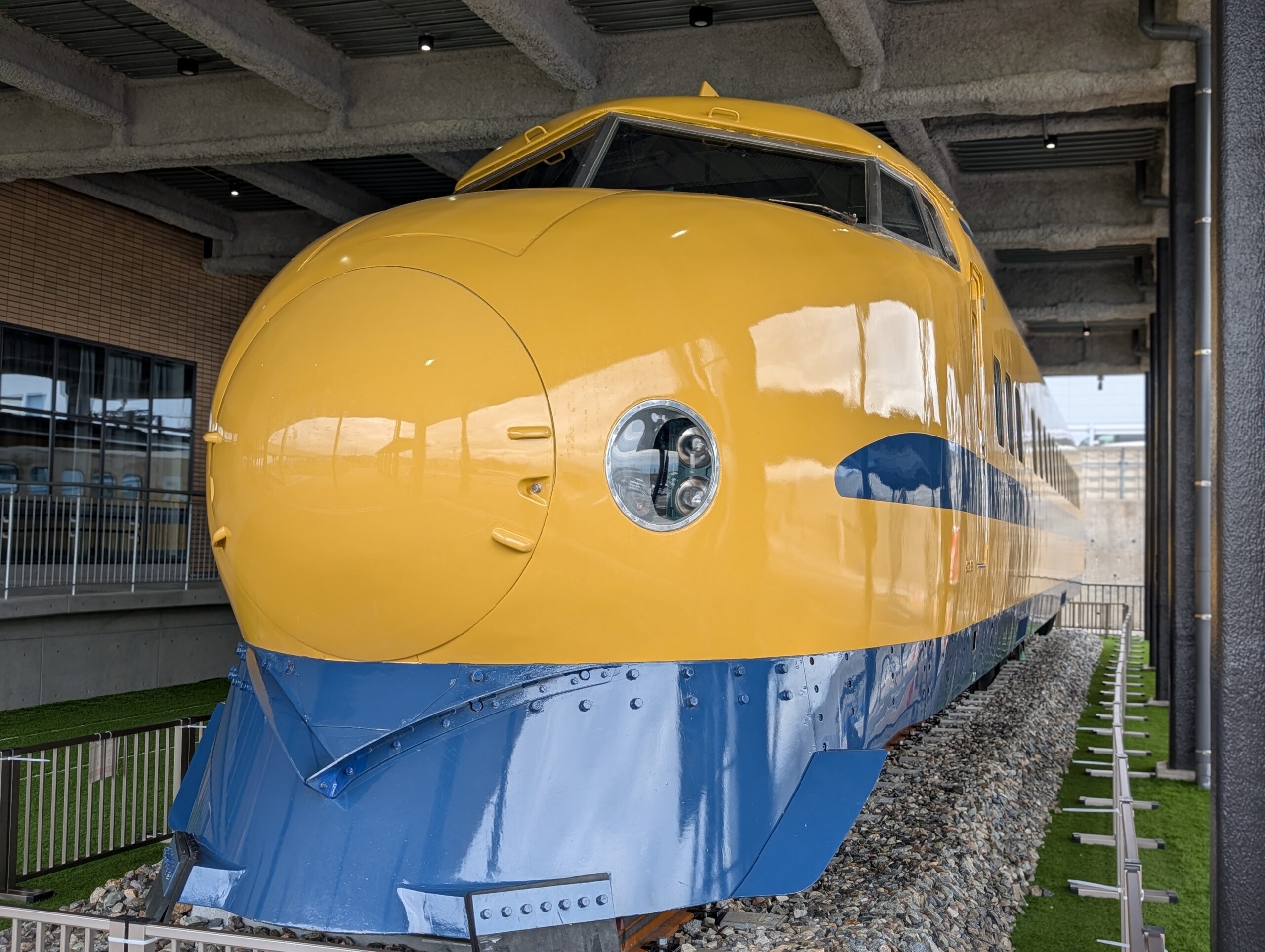 PXL_20250624_024828049.